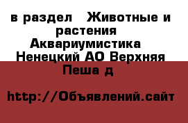  в раздел : Животные и растения » Аквариумистика . Ненецкий АО,Верхняя Пеша д.